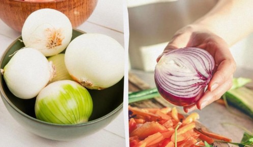 ��������� ��� �� ��������� ������ � �������������: ������� ������ ��� �������