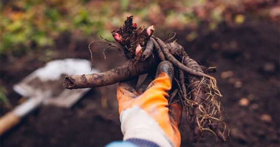 ��� ���������� ����� ��� �������: ��������� ����������, ����� � ������ ������