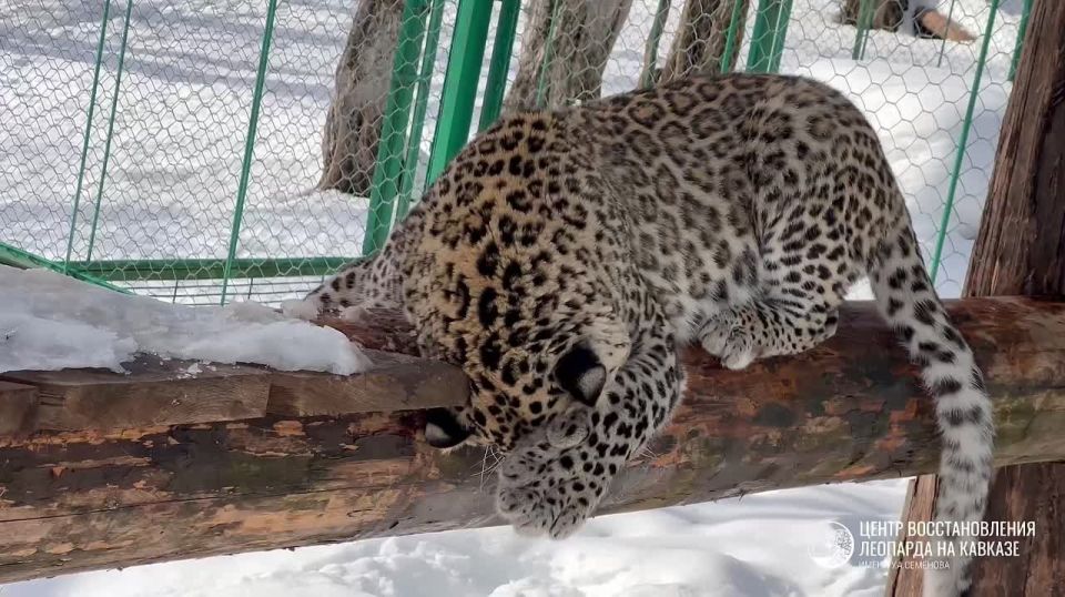 ������ �����. ������� ���� �������, ��� ���� � ��� �������� ����� ��� ������������������ ���