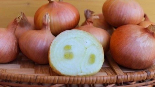 ��� �������� ��� ������ ��������� ���� � �������� �����������