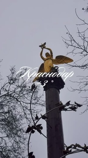 ������ ����, ���������!. ������� � ������ ��������� ��������� � �������� ������