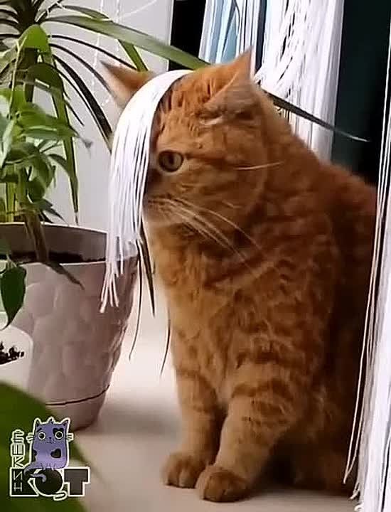 ������ ���� �������!. ���������, ��� ������� � ��������