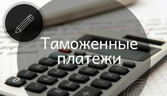 После личного приема Александра Гуцана юридическому лицу из Волгоградской области возвращены необоснованно взысканные таможенные платежи