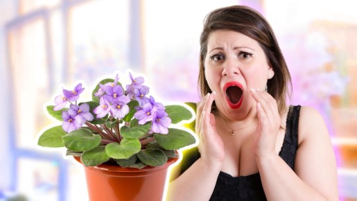 ������ �������� ���������: ��� ������ � ����� ����� ������ � ��� �����