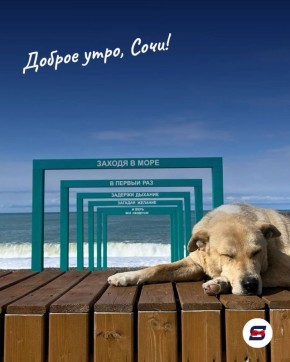 Доброе утро!. Пусть сегодняшний день будет наполнен лёгкостью, приятными моментами и хорошим настроением