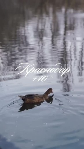 Доброе утро, Краснодар!. Погода сегодня будет пасмурной, но тёплой