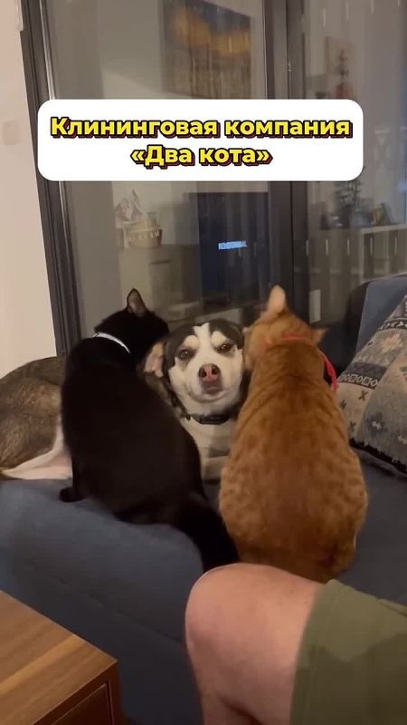 �������, ����� ������ ��� � ����