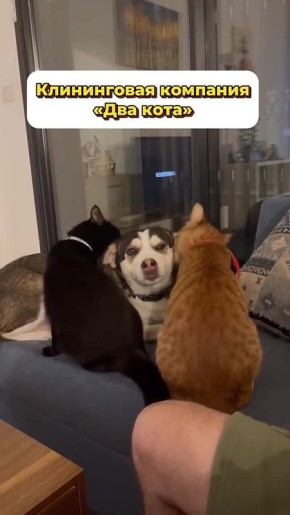 �������, ����� ������ ��� � ����