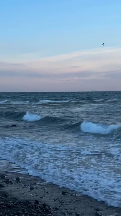 ������ ���������� ���, � ����� �������� ����� �� ����������