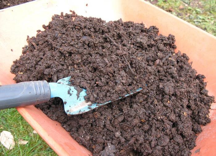 Органические удобрения: как получить богатый урожай без химии