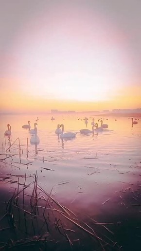 ����� ��������. ������ ���������