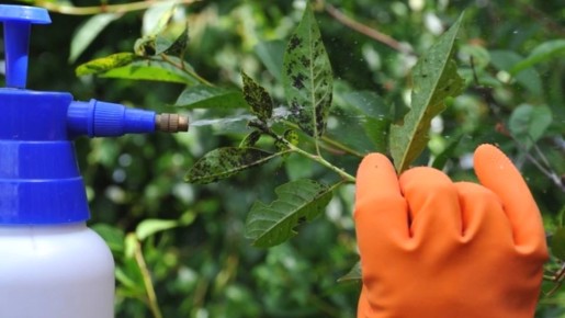 ��� �������� ���: ����������� ����������� ������� ��� ����� ���������