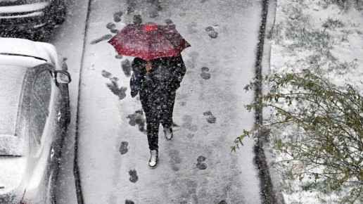 �������� ����������� ����� �������� � ������������� ���� ���������, ���������� � ��������� �����������