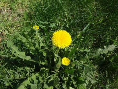 ����������: ����������� ��������� �� ����