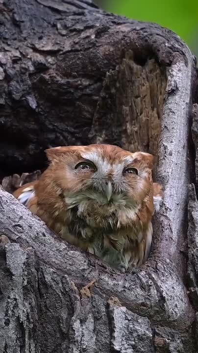 Сегодня первый день последнего зимнего месяца, а значит, скоро весна