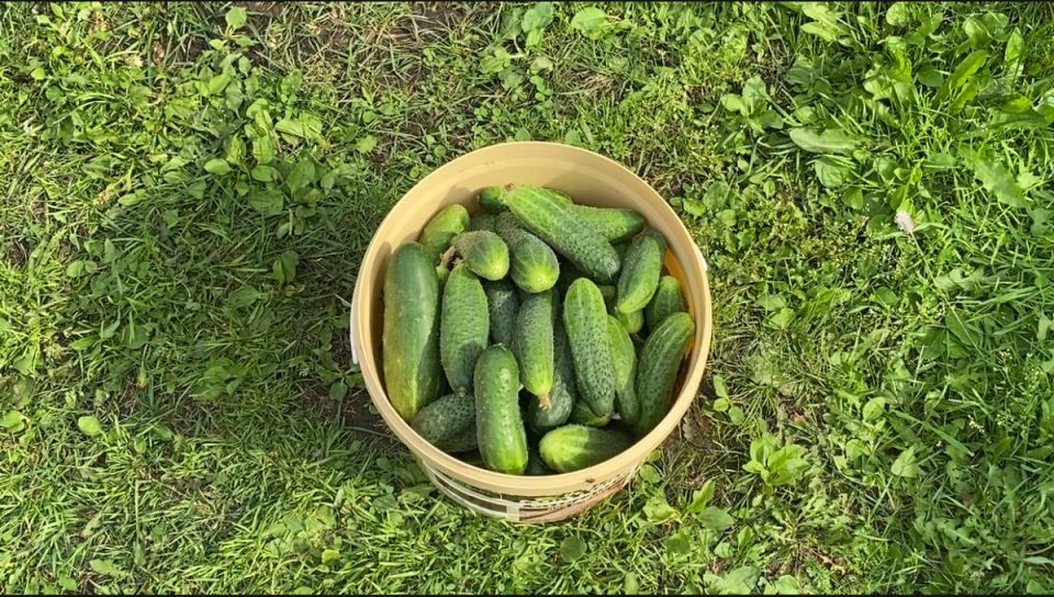 �������� � ����� �������� ����� �������: ��� ��������� ��� ��������� ������