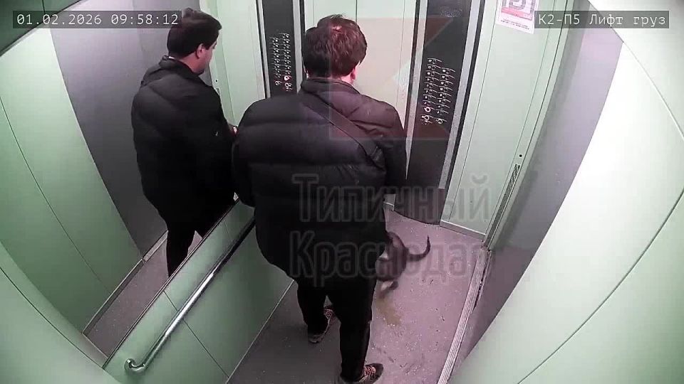 ������� ������ ����?. ������ ��������� �������� ��� � ����� �� ��������-������������� ����� � ���������� ����� �� �����