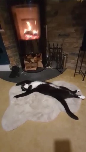 ������� �� ��������� �� ����� ����� � ������