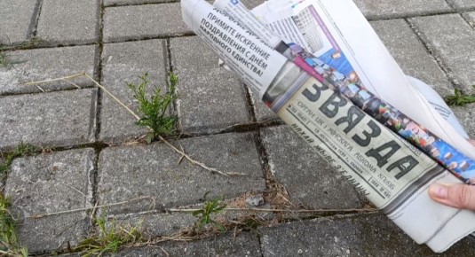 ����������� ������ ������ � ���������: ���, ��� ����� �����