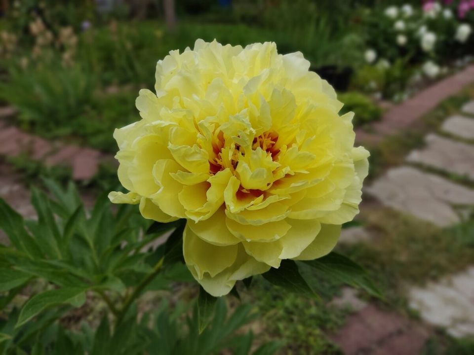 ��������� ��������� ����: ��� ������ ���� � ����