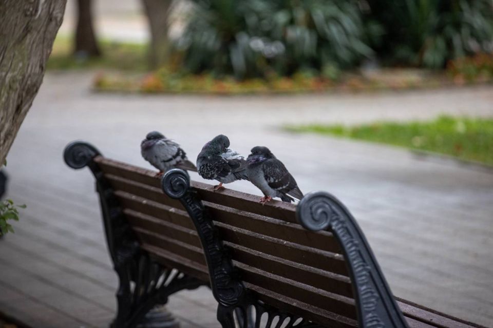 ����� � ������ ����. ����������� ������ ������� ��������� ��������� �������� � ������-��������� ������