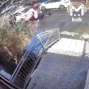 �������������� �������� ���� ������� � ����� �� ������ �������������