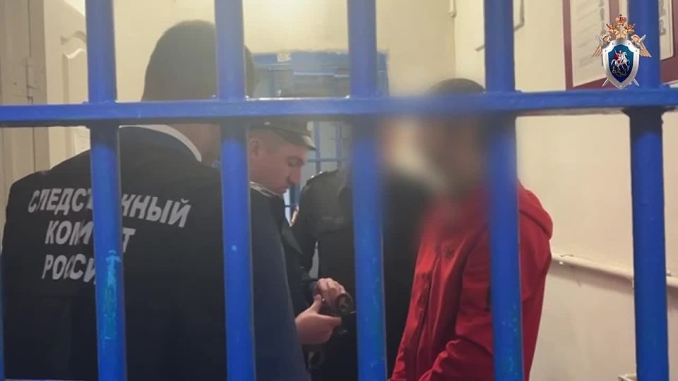 Следователи Краснодарского края завершили расследование дела против 32-летнего отца, который два года истязал своих маленьких детей