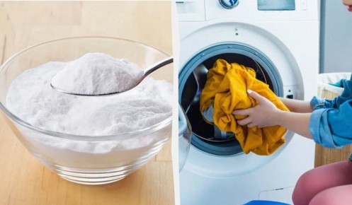 ������ ����� �������� ���� � ���������� ������: ����������� ������, � ������� �������� ������