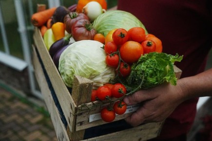 ����� ��������� � ���� � ����: ��� ������?