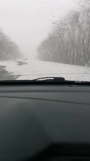 �� �����, � �����. ���� ������������