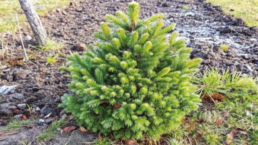 ��� ������: ���� ��������� � �������� ������� ����