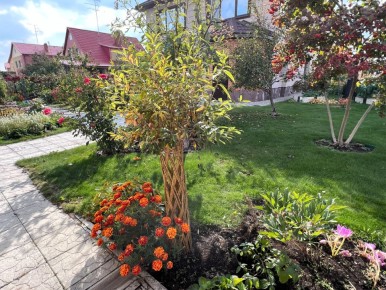 �������� ���: �������� ������� ����� � ���������������� �������