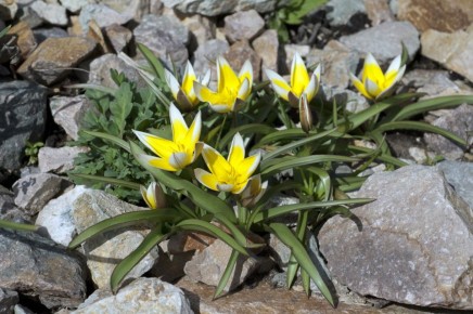 ���������� ������������ ���������: ����� ��� ������ ��������� ����