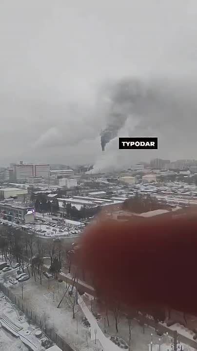 ׸���� ��� �� ����� ��� ������� ������������