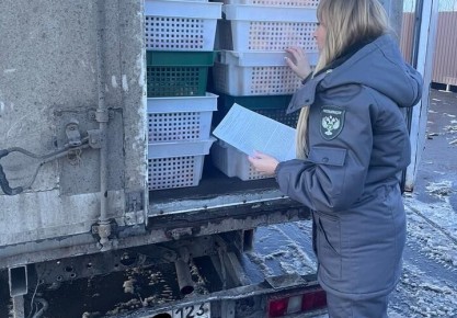 �� ������ �������� ����, ���� � ���� ������������ �������������