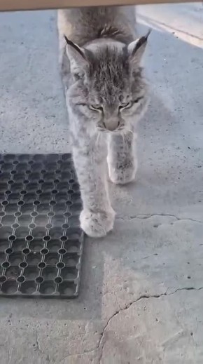 ���� ������������� � ��������� � �������� ����