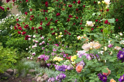 ���� � ����� ����: ������� �������� ���������� �������