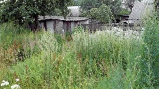 ��� �������� �������� �������� ���������� �� ��������: ������� ������ � �������� �������������