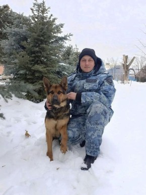 �������, ����� � ���� ������������ �� ������