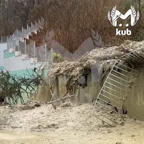 ������� ������ �������� � ����� ����� �� ��������� � ����