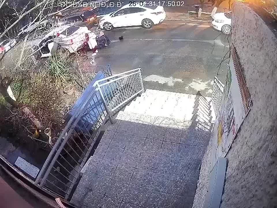 �������� ���� ����������, ������ �����