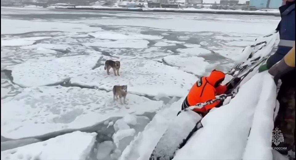 �� �������� ������ ����� ��� ��� ������������ �� ������