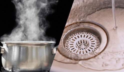 ��������� �������: ����� �� �������� ������� ���� � ��������?