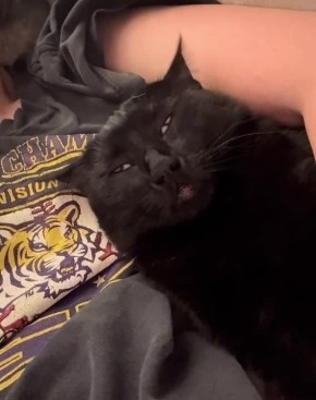 ��������� ������ � �������� ������