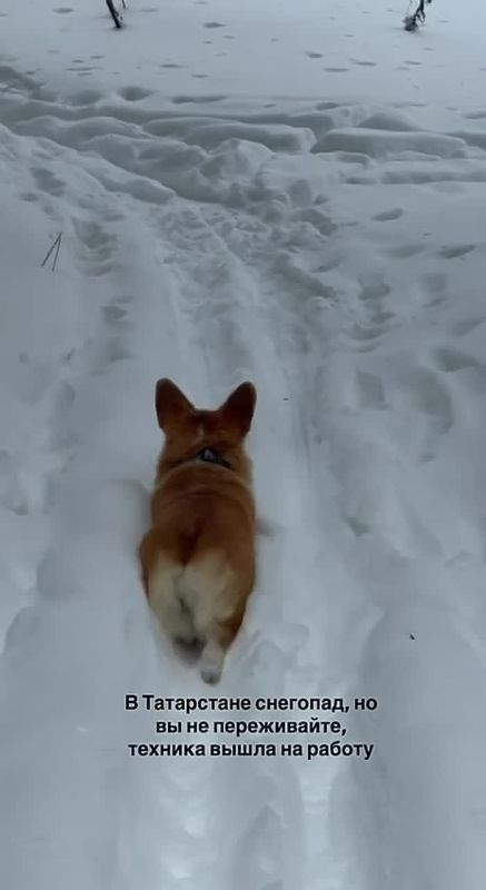 ������ ����������� ��� ��������� ����� ��������� �� ����� ����������