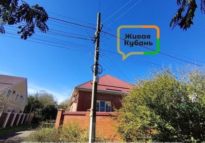 ���� ������� ����������. ������� 80-������ ���������� ����������, ������� ������ ����� � ����������� ���