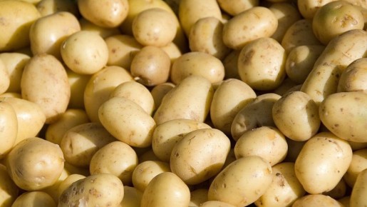 ��� �������� ������� ������ ���������: ������������ ������