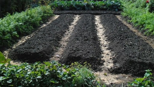 ��� ������� ������ � ������� �������� �������� ������ ������ �������