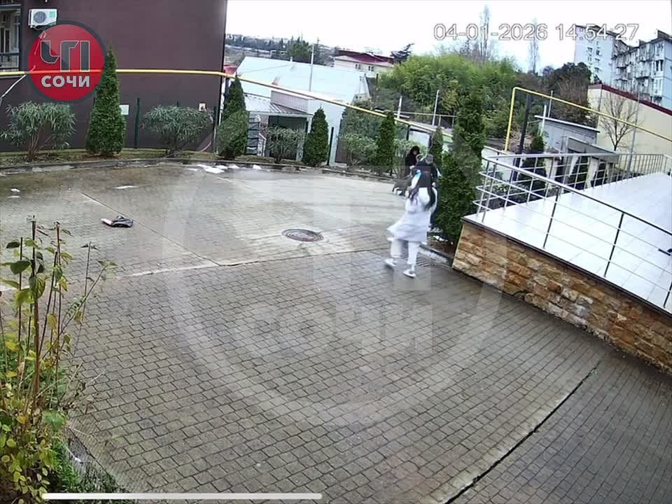 Терзал у дома. Дама с собачкой пострадала во дворе жилого комплекса по улице Донской в Сочи