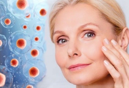 ��� ������ ���������� ������� ������� ��������� ������� ���� ���������